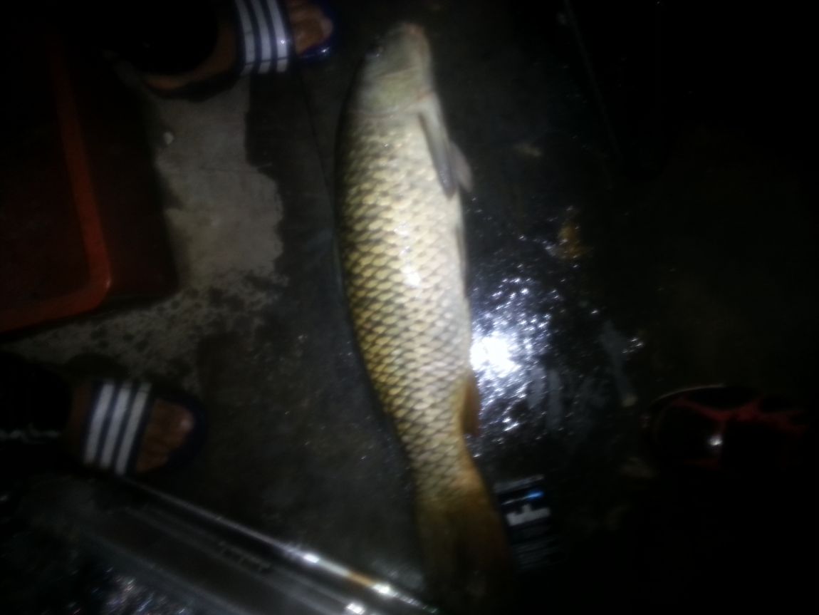 20140927_042914.jpg