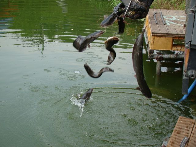 DSC06458.JPG