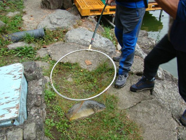 DSC06480.JPG