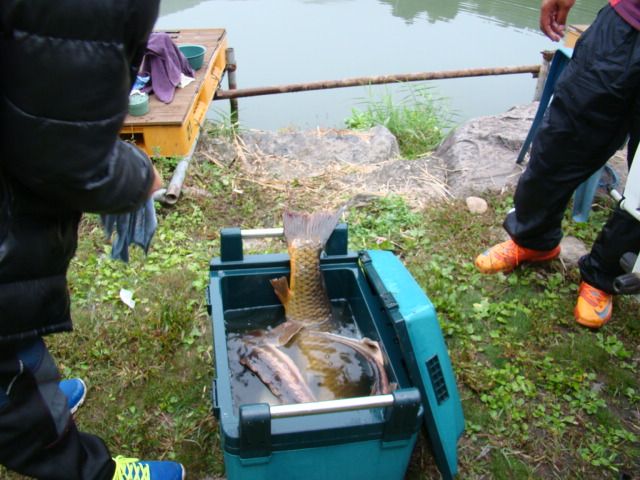 DSC06484.JPG