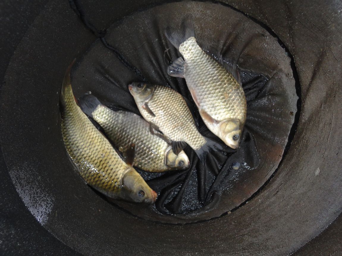 13.JPG