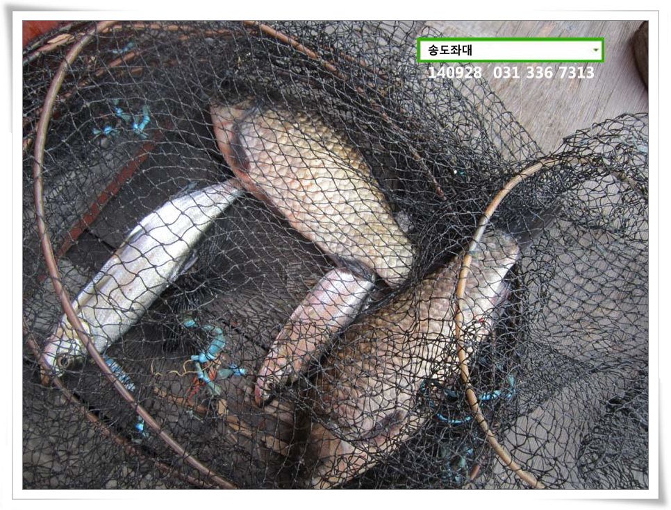 IMG_0001.JPG copy.jpg