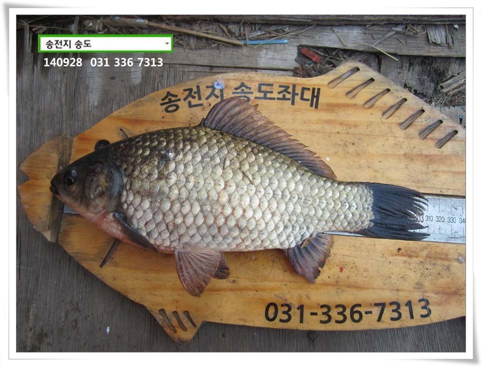 IMG_0002.JPG copy.jpg