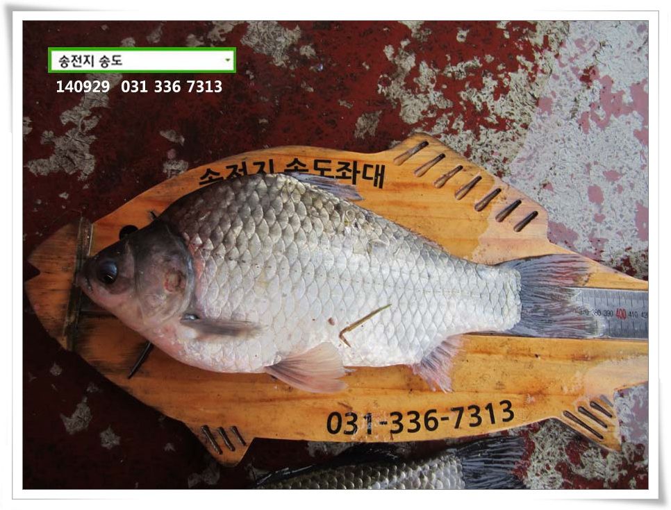 IMG_0019.JPG copy.jpg