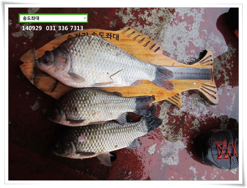 IMG_0020.JPG copy.jpg