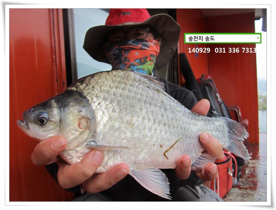 IMG_0022.JPG copy.jpg