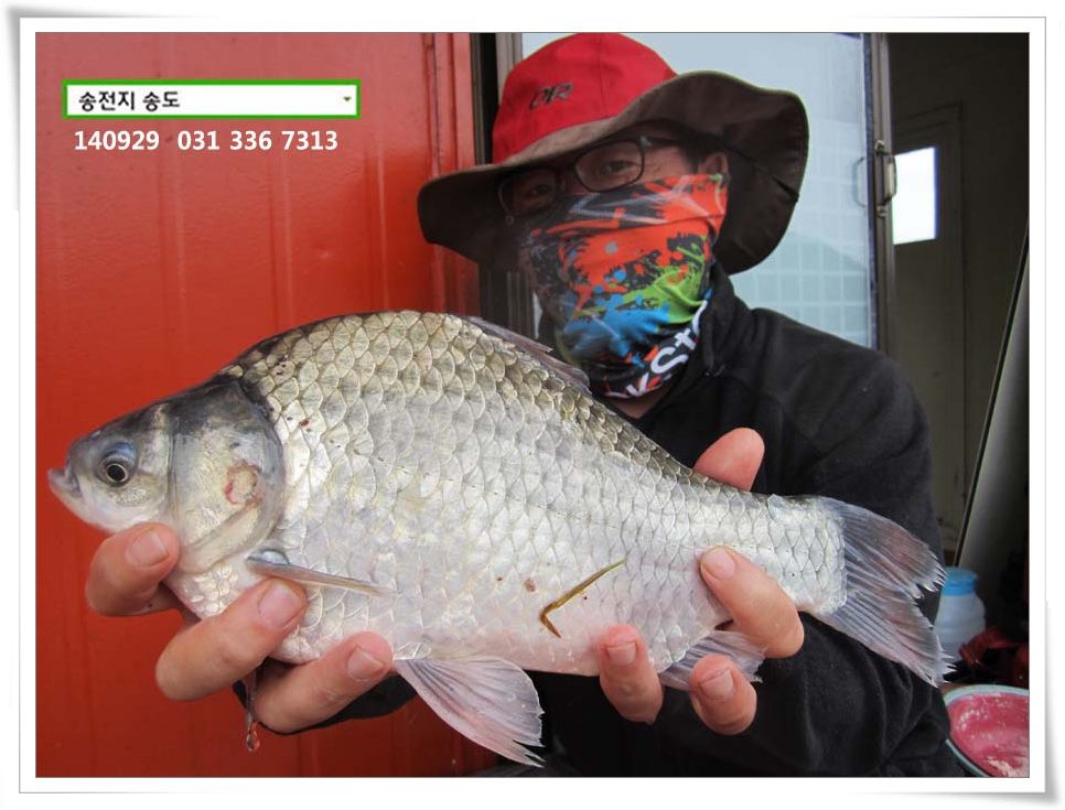 IMG_0026.JPG copy.jpg