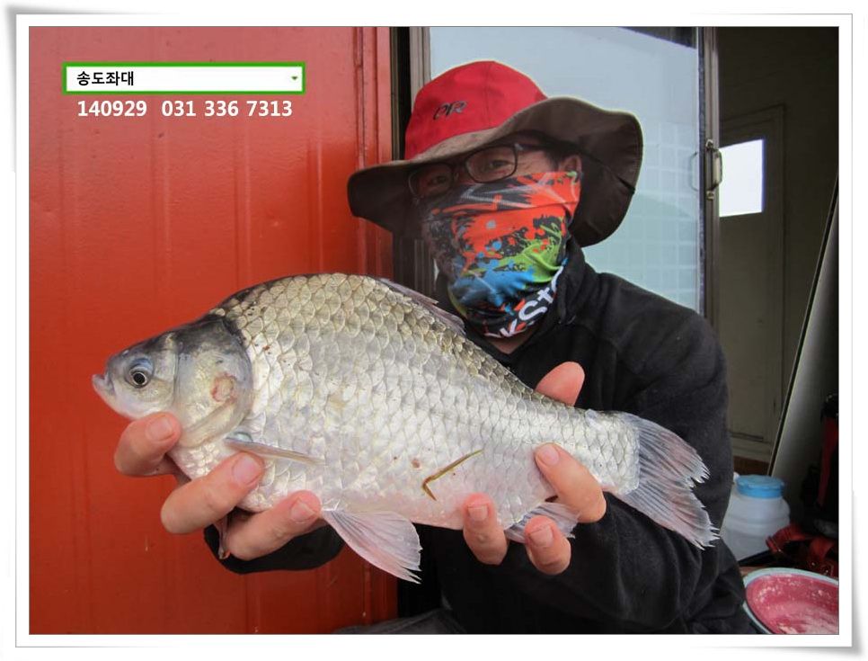 IMG_0025.JPG copy.jpg