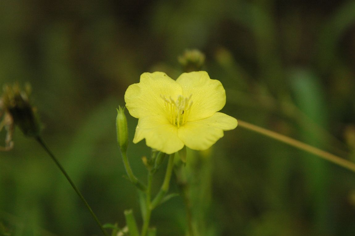 DSC_6205.JPG
