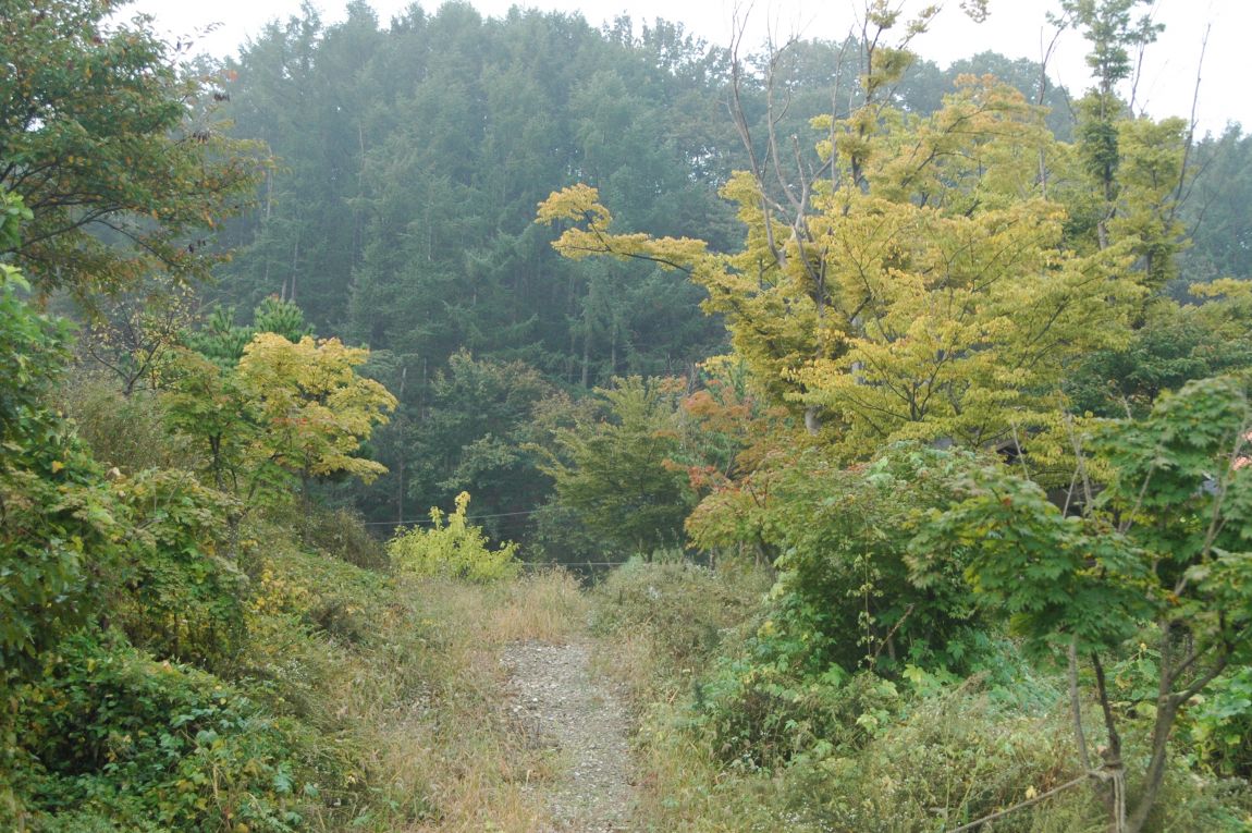 DSC_6197.JPG
