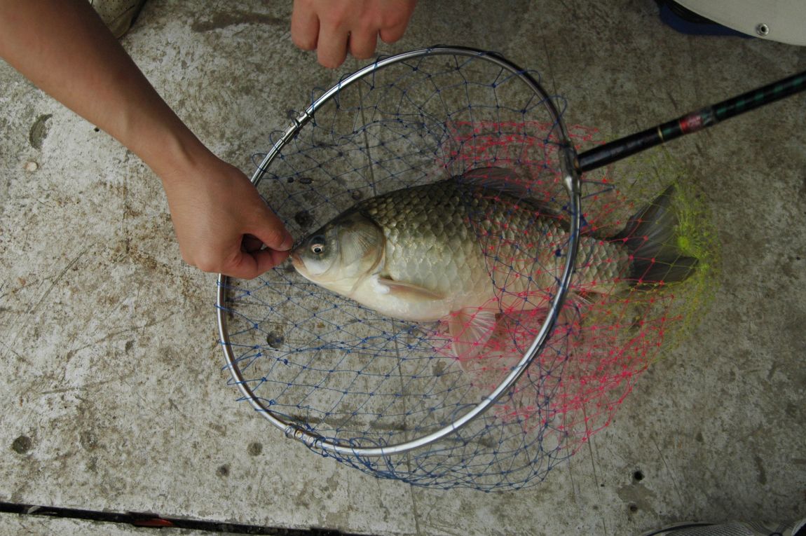 DSC_6222.JPG