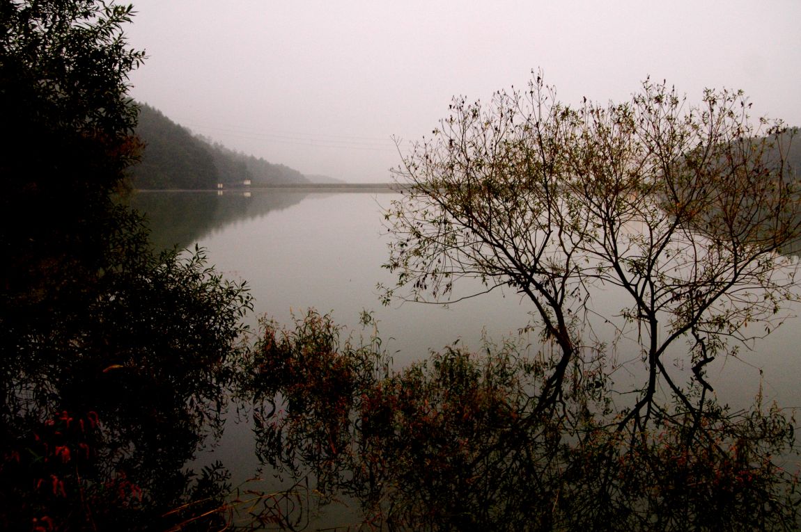 DSC_6277.JPG