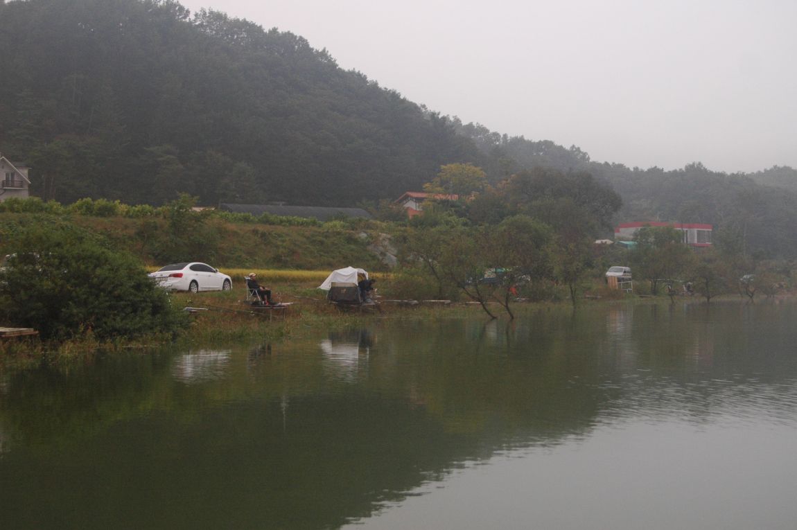 DSC_6291.JPG
