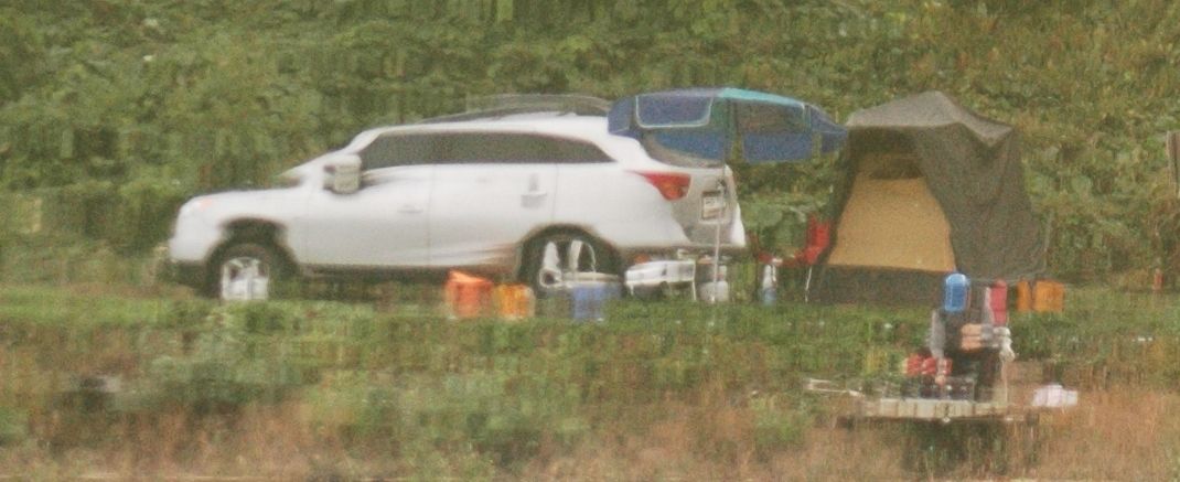 DSC_6298.JPG