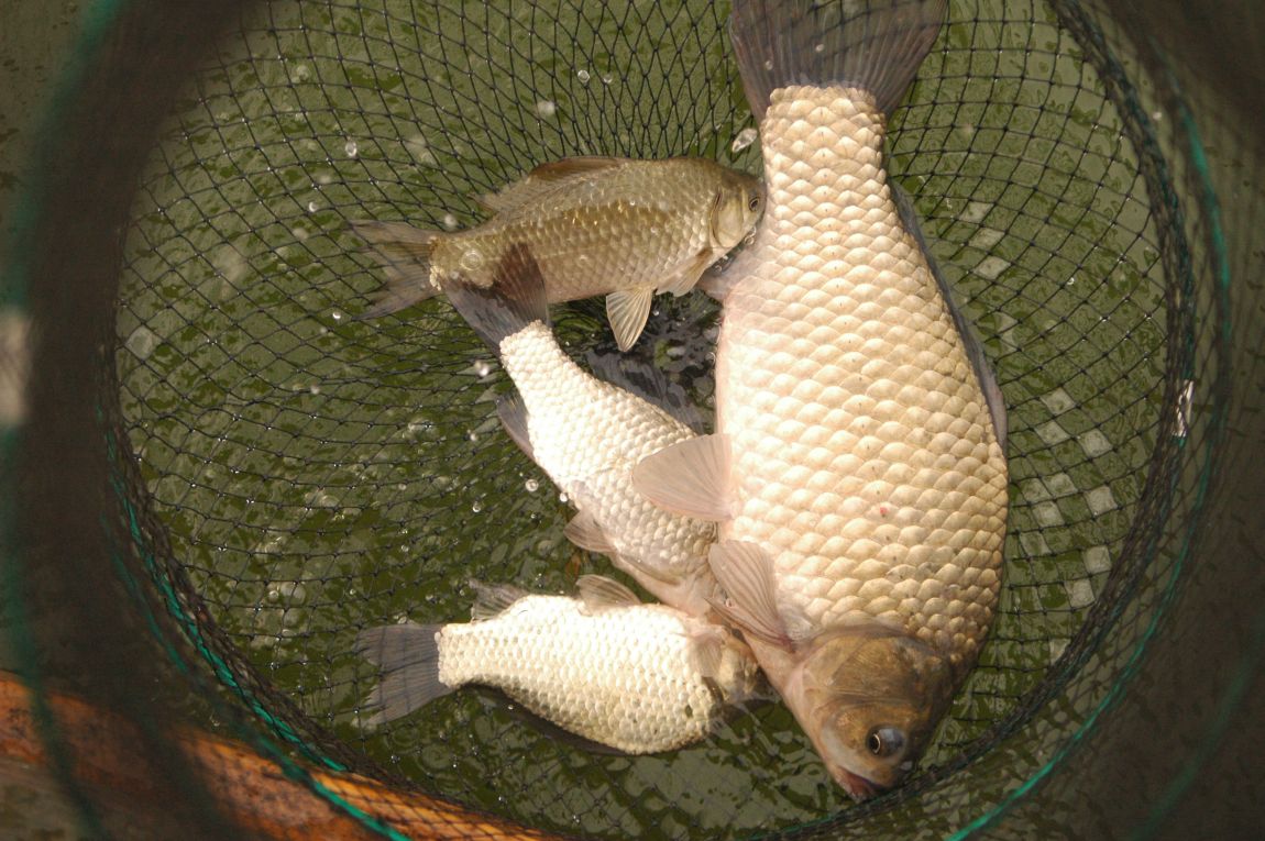 DSC_6324.JPG