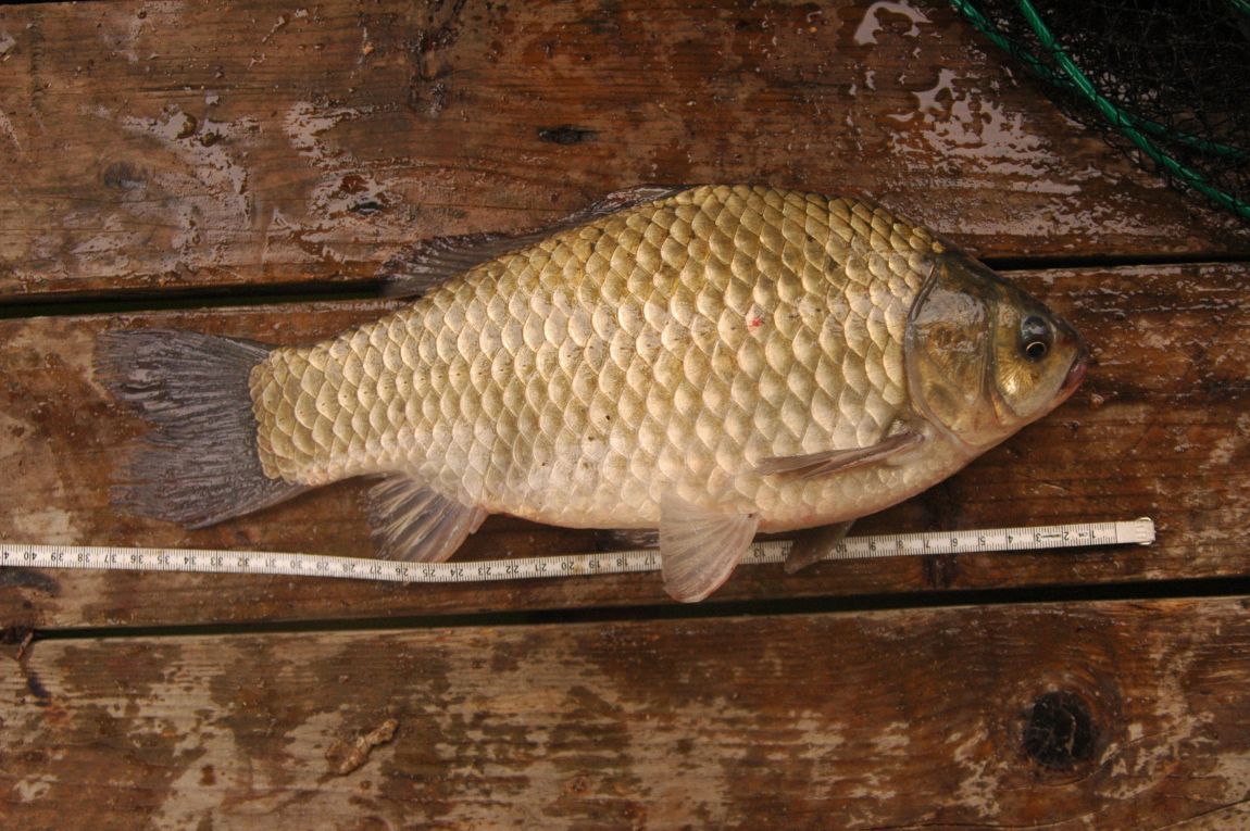 DSC_6329.JPG