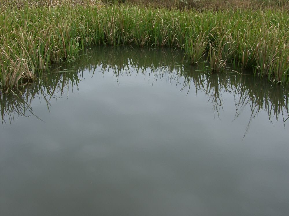 SH109295.JPG