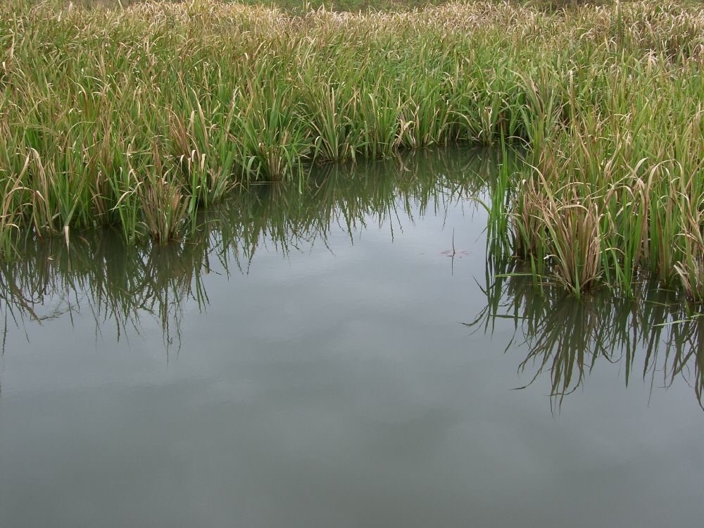 SH109296.JPG