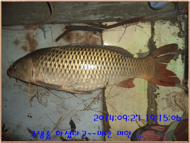 �ٹ̱�_DSC03895.JPG