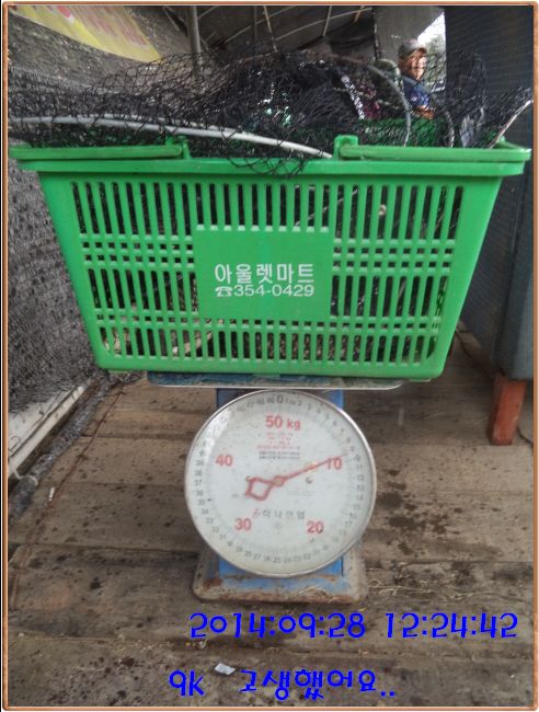 �ٹ̱�_DSC03902.JPG