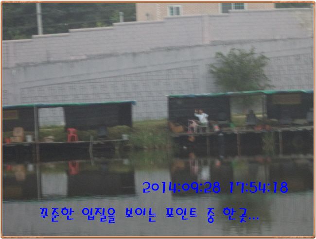 �ٹ̱�_DSC03905.JPG