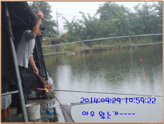 �ٹ̱�_DSC03906.JPG
