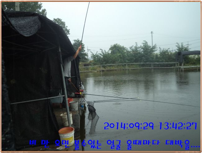 �ٹ̱�_DSC03907.JPG