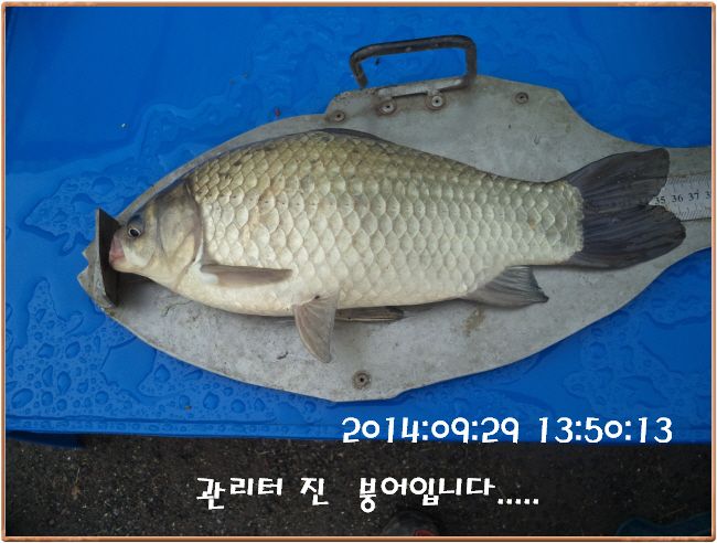 �ٹ̱�_DSC03908.JPG