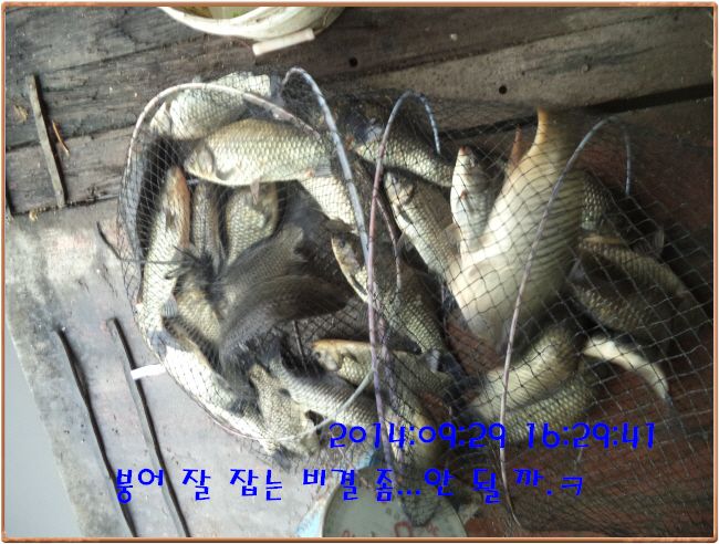 �ٹ̱�_DSC03912.JPG