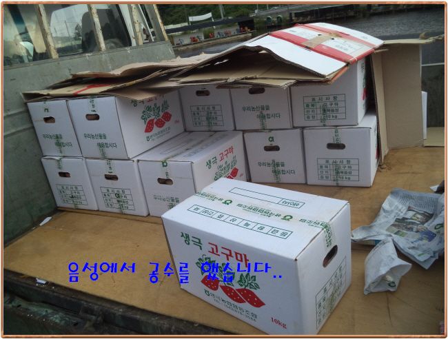 �ٹ̱�_DSC03920.JPG