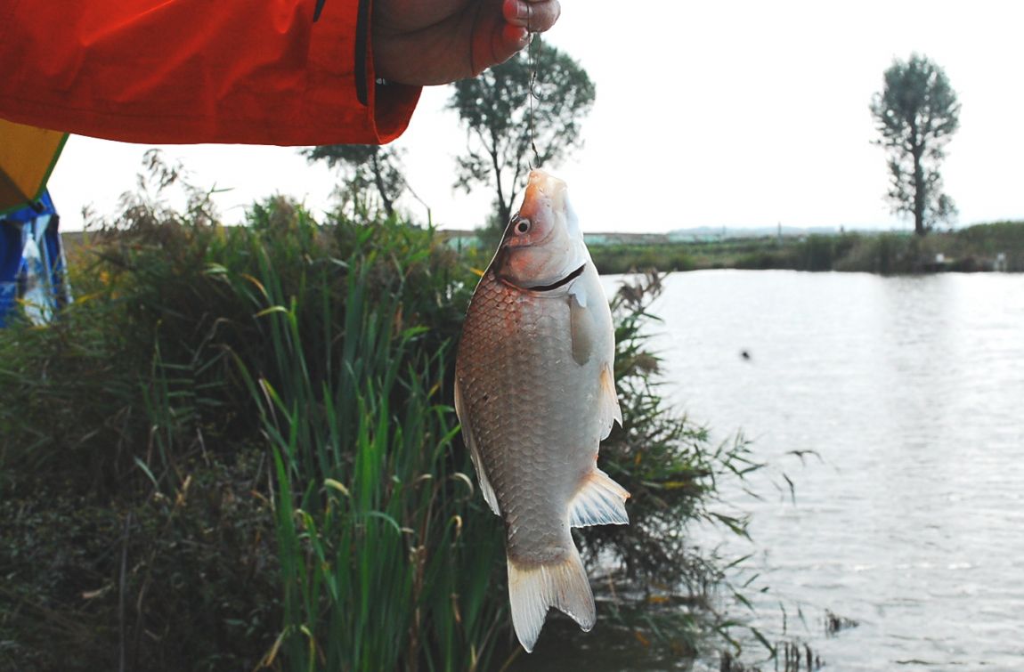 �ٹ̱�_DSC_0253.JPG
