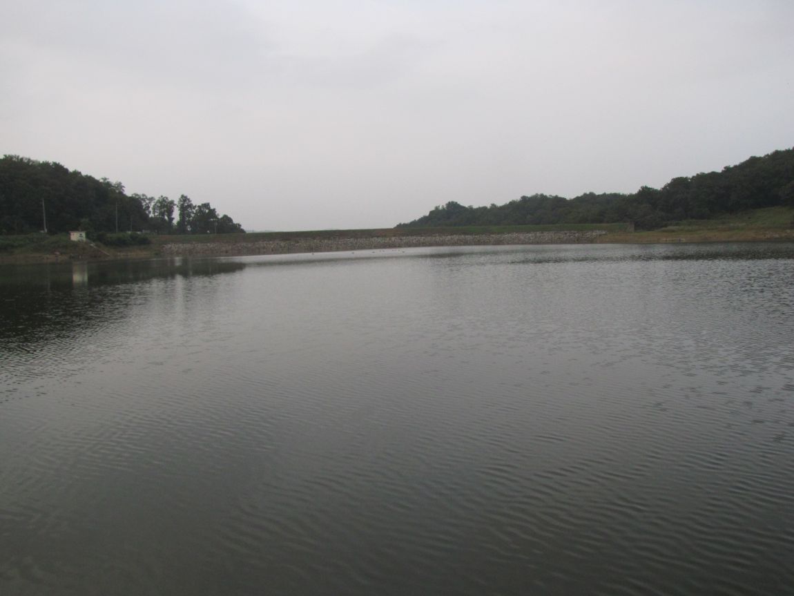 IMG_0765.JPG