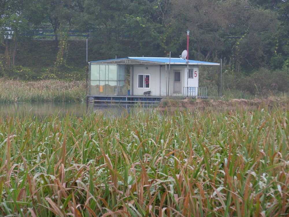 SH109306.JPG
