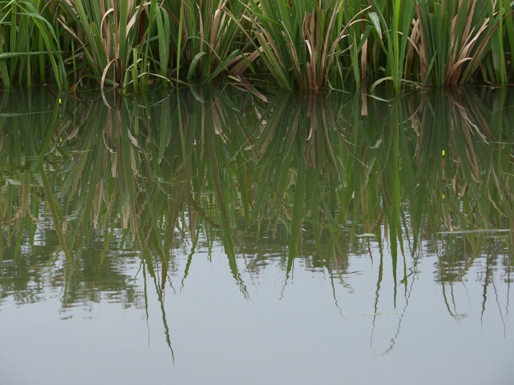 SH109319.JPG