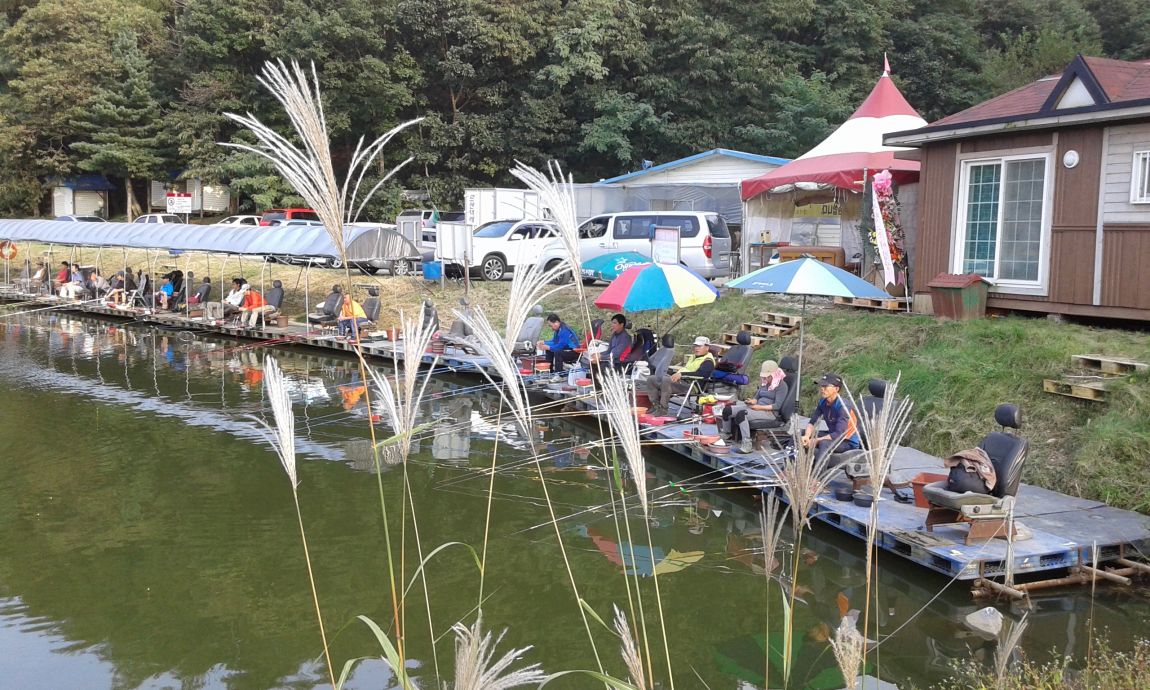 ���� 2436.jpg