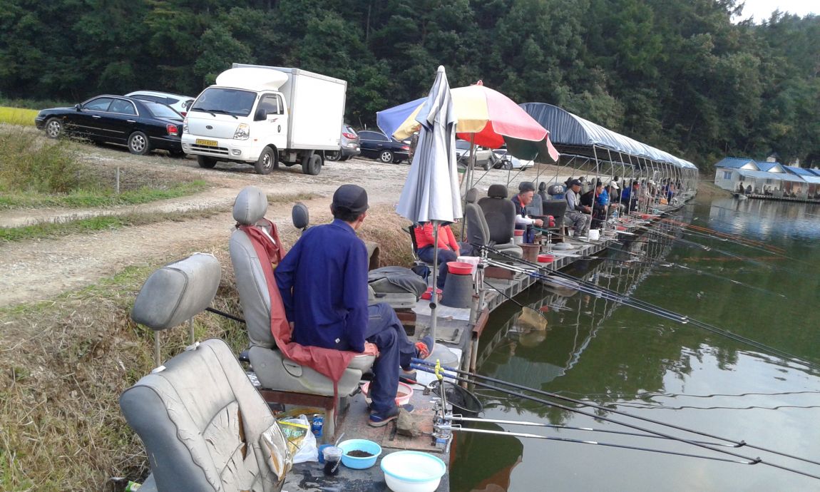 ���� 2437.jpg