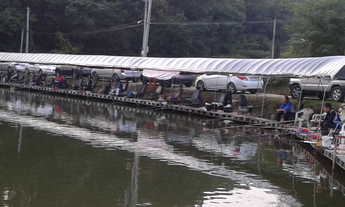 ���� 2438.jpg