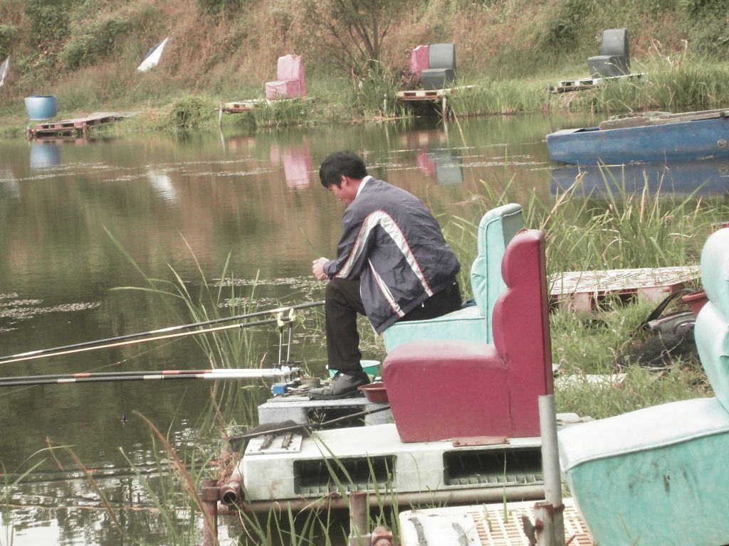 SDC10303.JPG