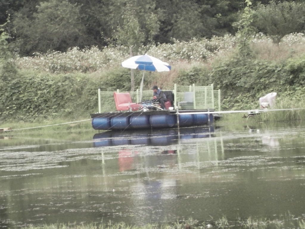 SDC10308.JPG