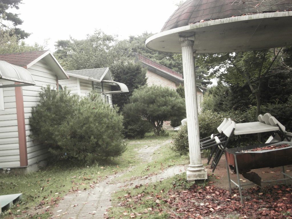 SDC10311.JPG