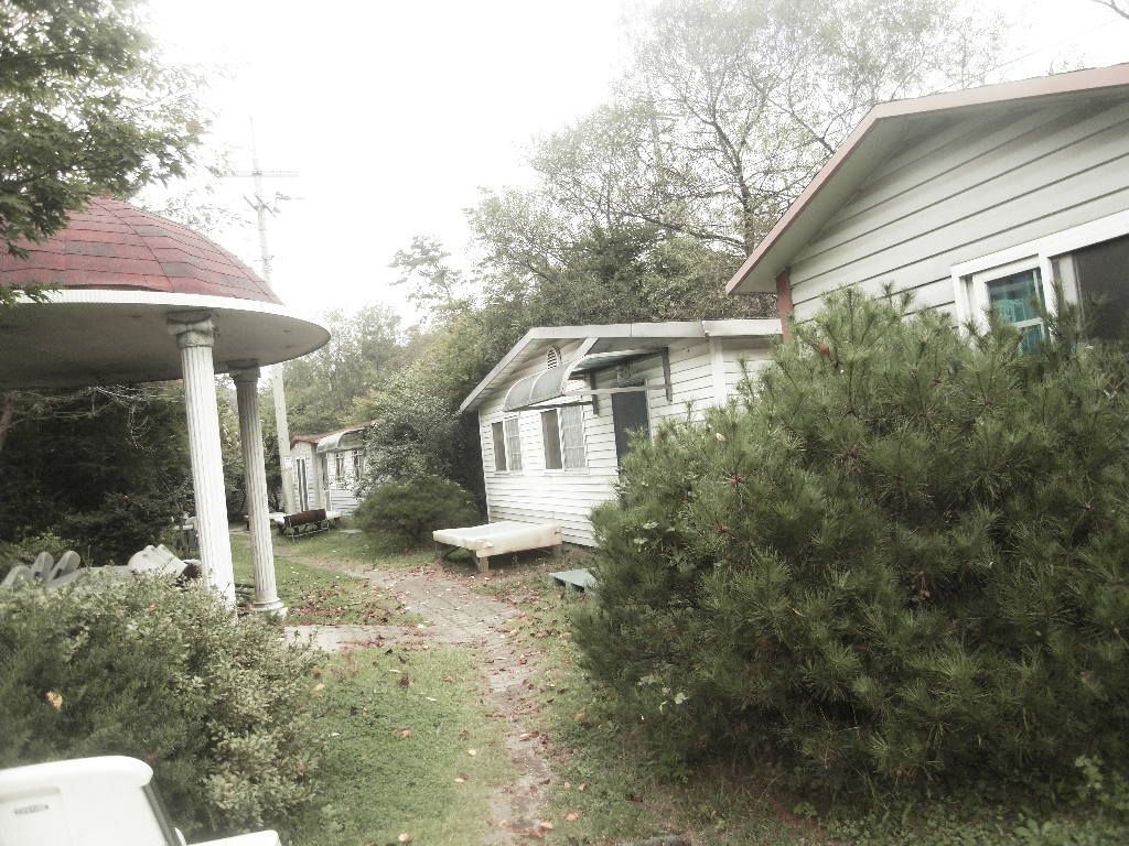 SDC10315.JPG