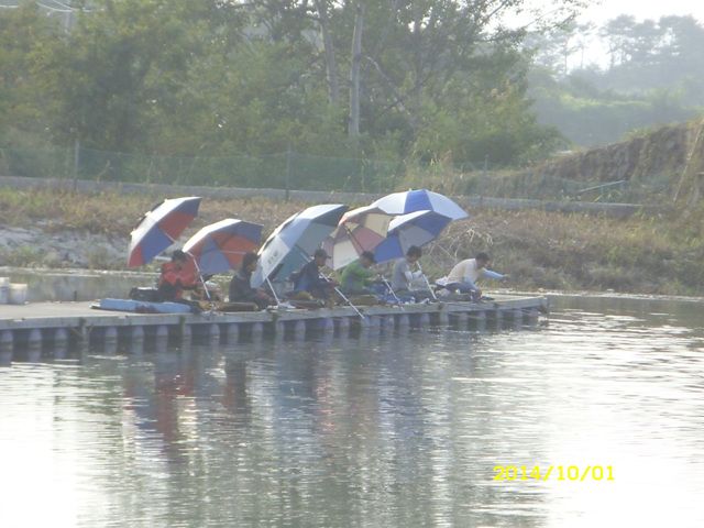 SDC16362.jpg