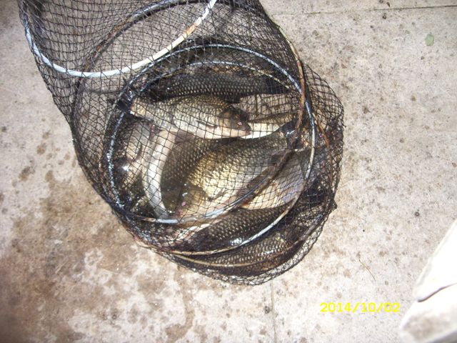 SDC16367.jpg