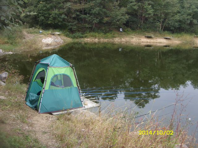 SDC16371.jpg