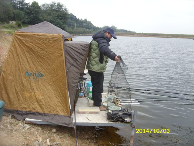 SDC16375.jpg