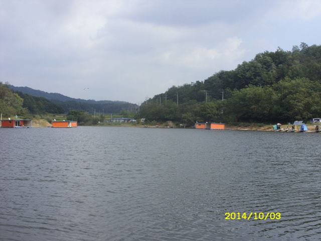 SDC16403.jpg