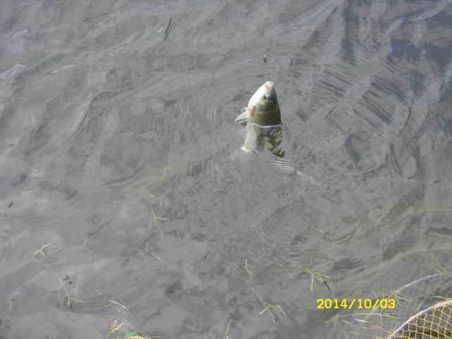 SDC16420.jpg