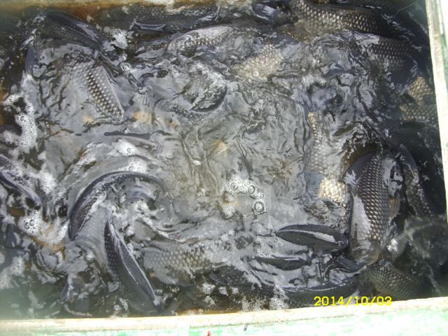 SDC16388.jpg