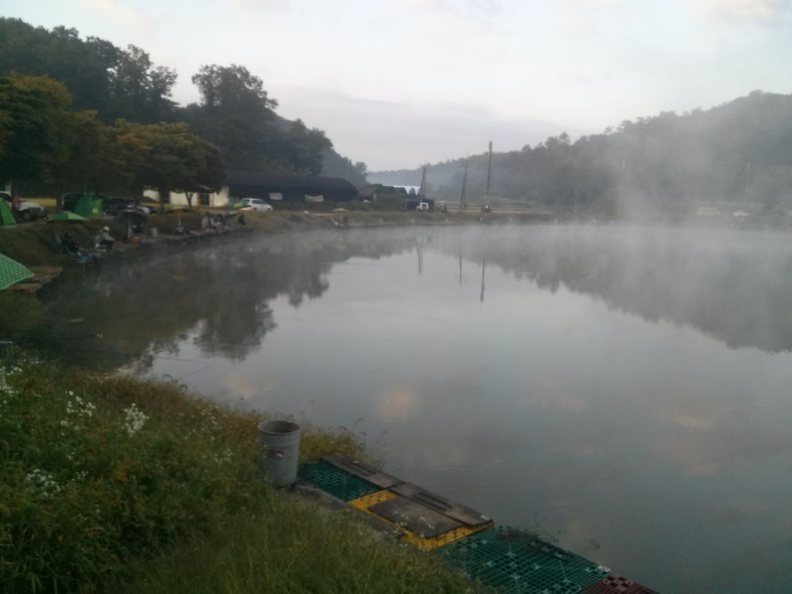 CAM03165.jpg