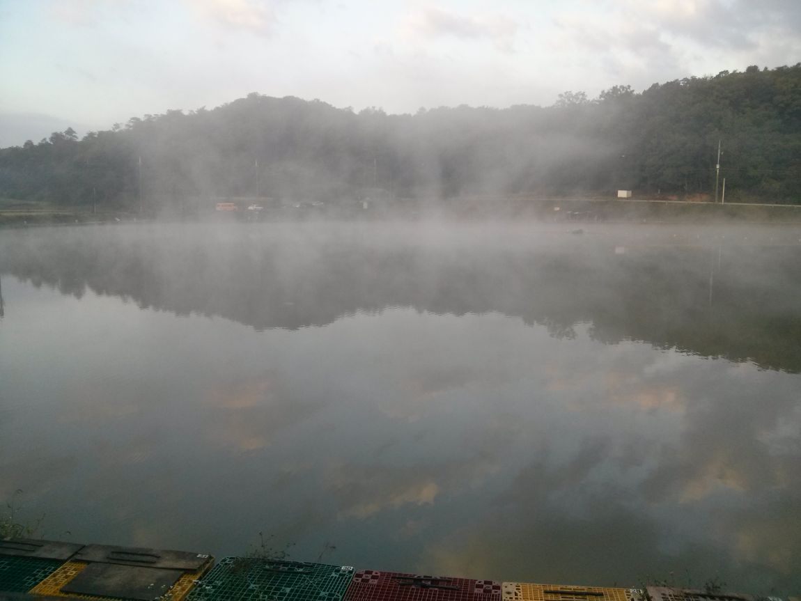 CAM03166.jpg